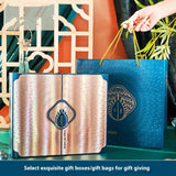 Creative Portable Home Makeup Kit Set Of 12 Pieces